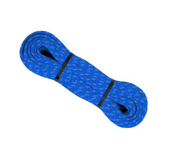 Jardinage écoresponsable : Les premiers pas vers un jardin durable